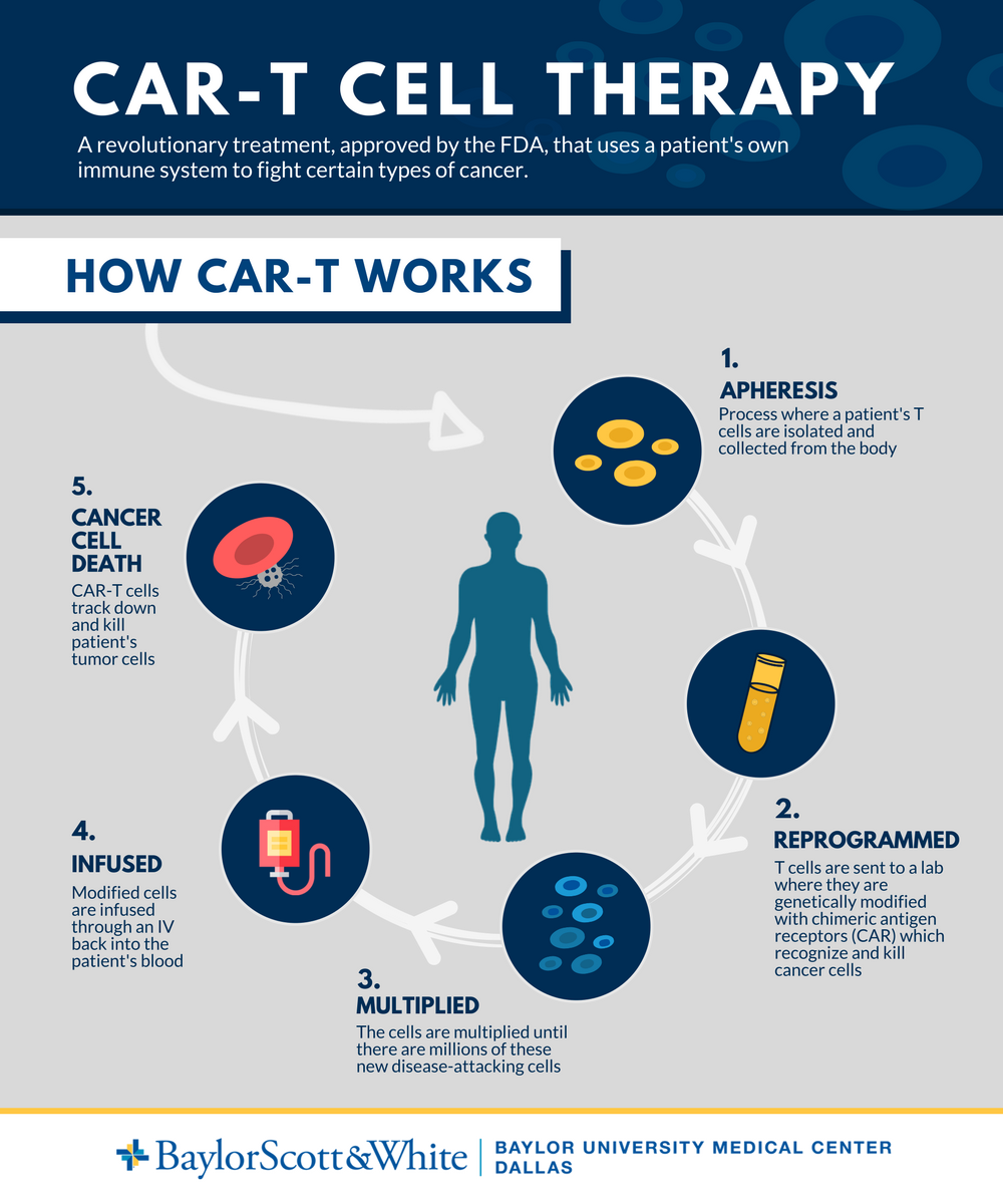 How CAR-T works infographic